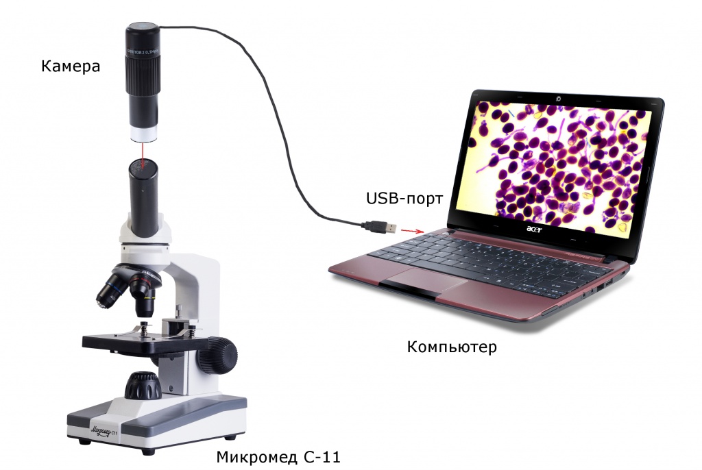 Микроскоп с выводом изображения на компьютер
